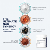 Eonion | Advanced Liposomal NAD+ Complex • 300mg NR, 200mg Ubiquinol CoQ10, Shilajit & PQQ • Mitochondrial Support Supplement for Cellular Energy, Longevity & Cognitive Focus • 60 Vegan Capsules